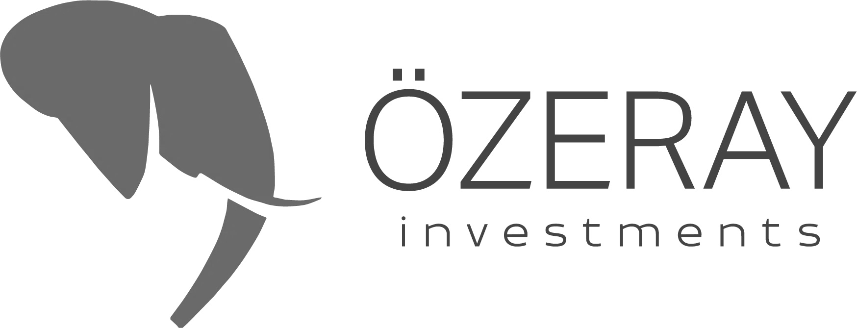Özeray Investments